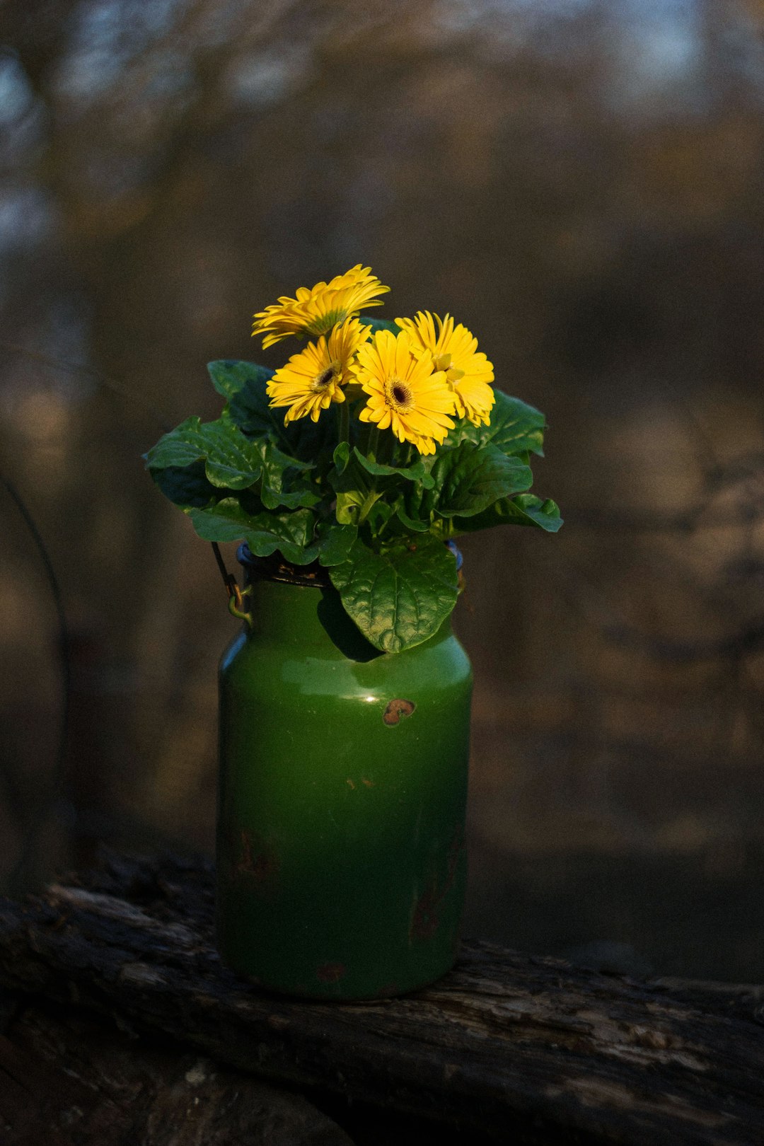 yellow flowers in green vase