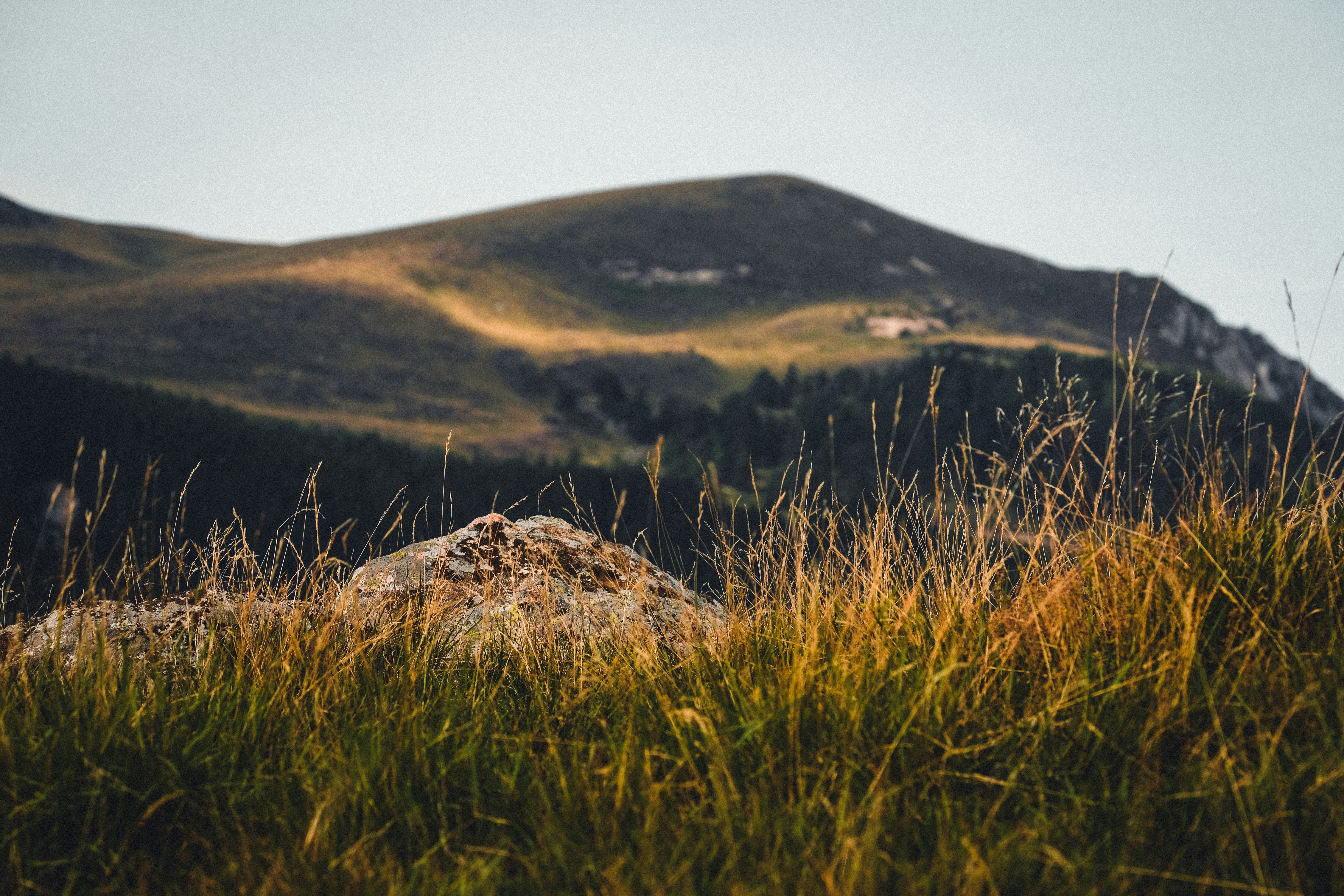 Photo by francesco_ungaro