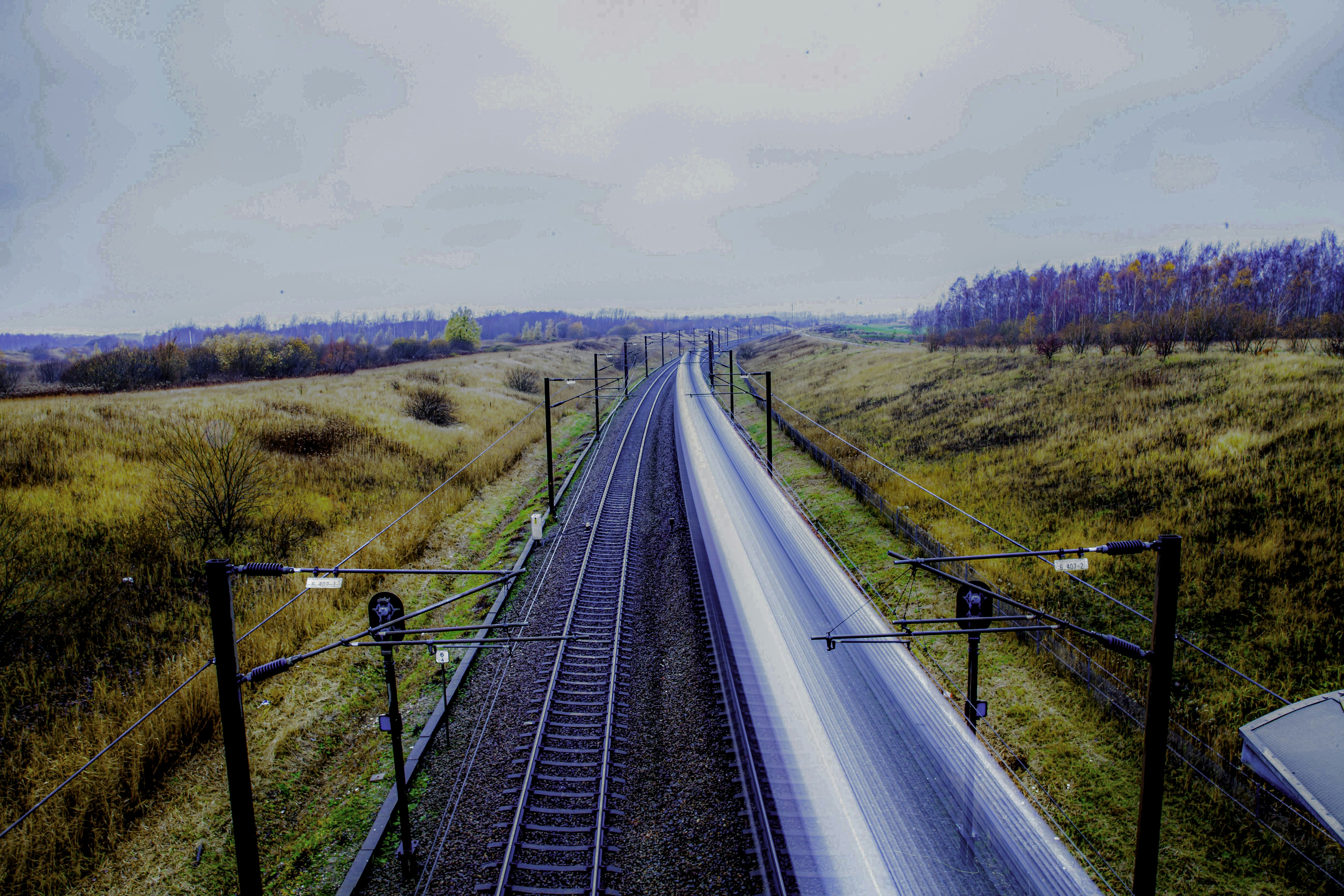 Photo by zeihlund