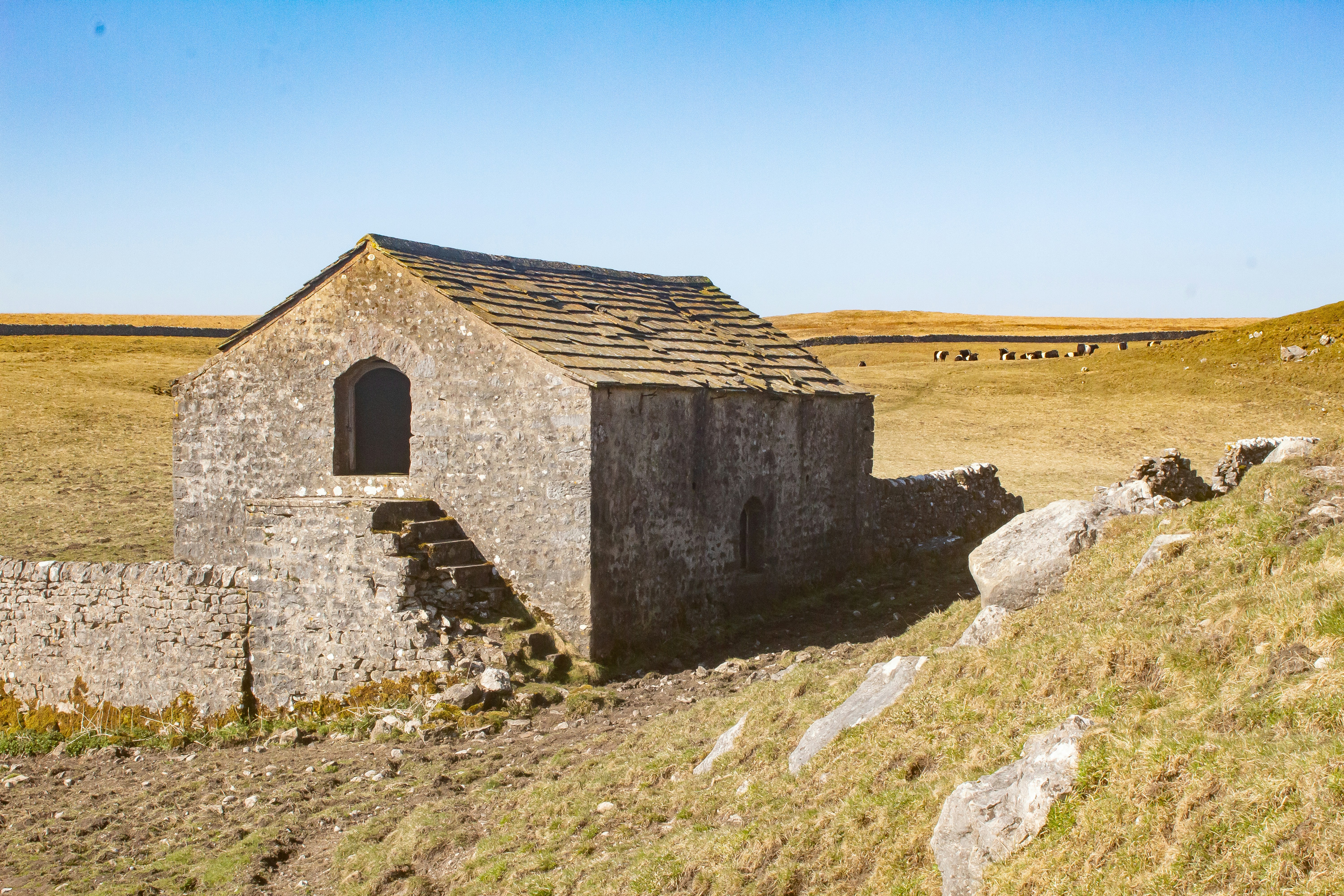 Photo by nikkipaints