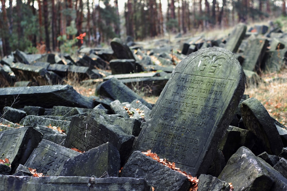 black concrete blocks on the ground