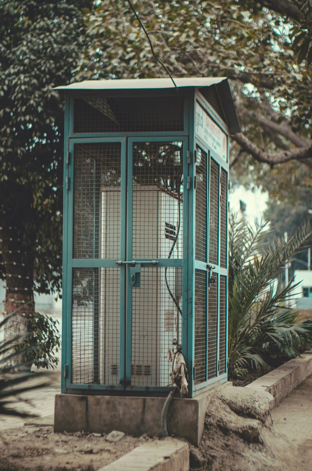 blue wooden door near green trees during daytime