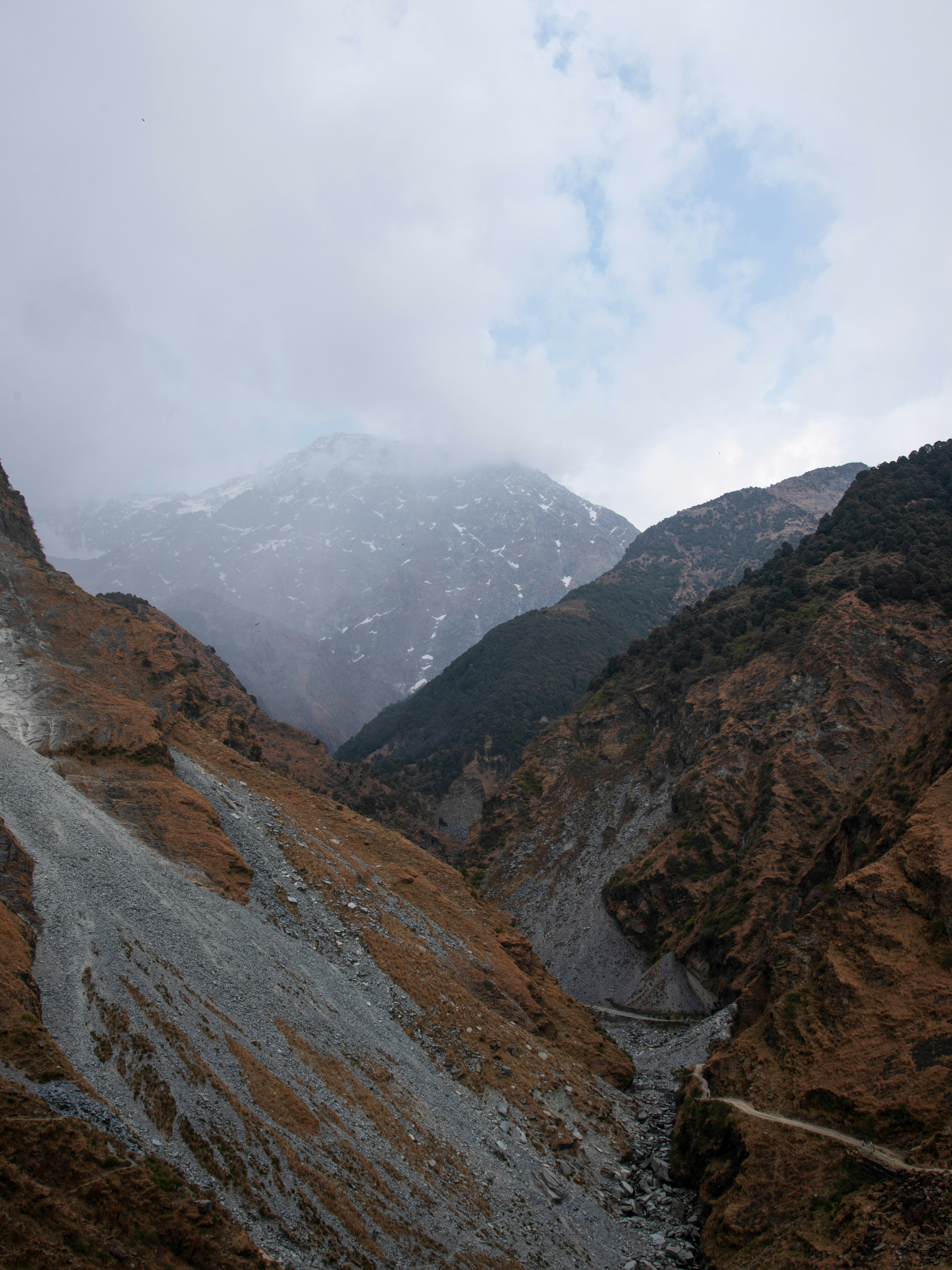 Photo by rishabhdharmani