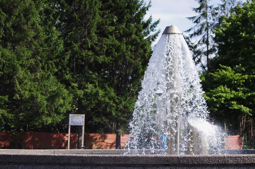 water fountain in the middle of the forest