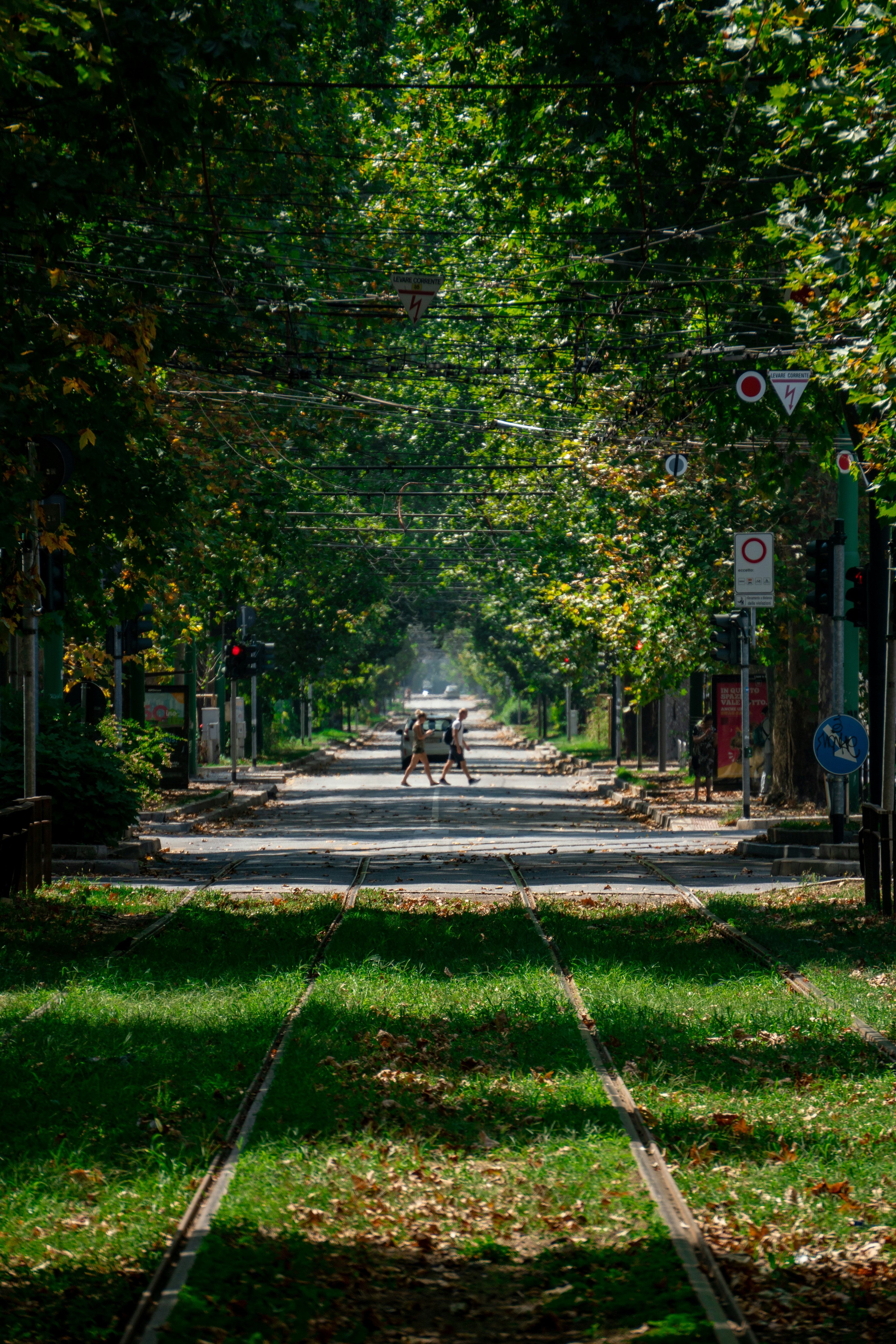 green grass and trees near road during daytime