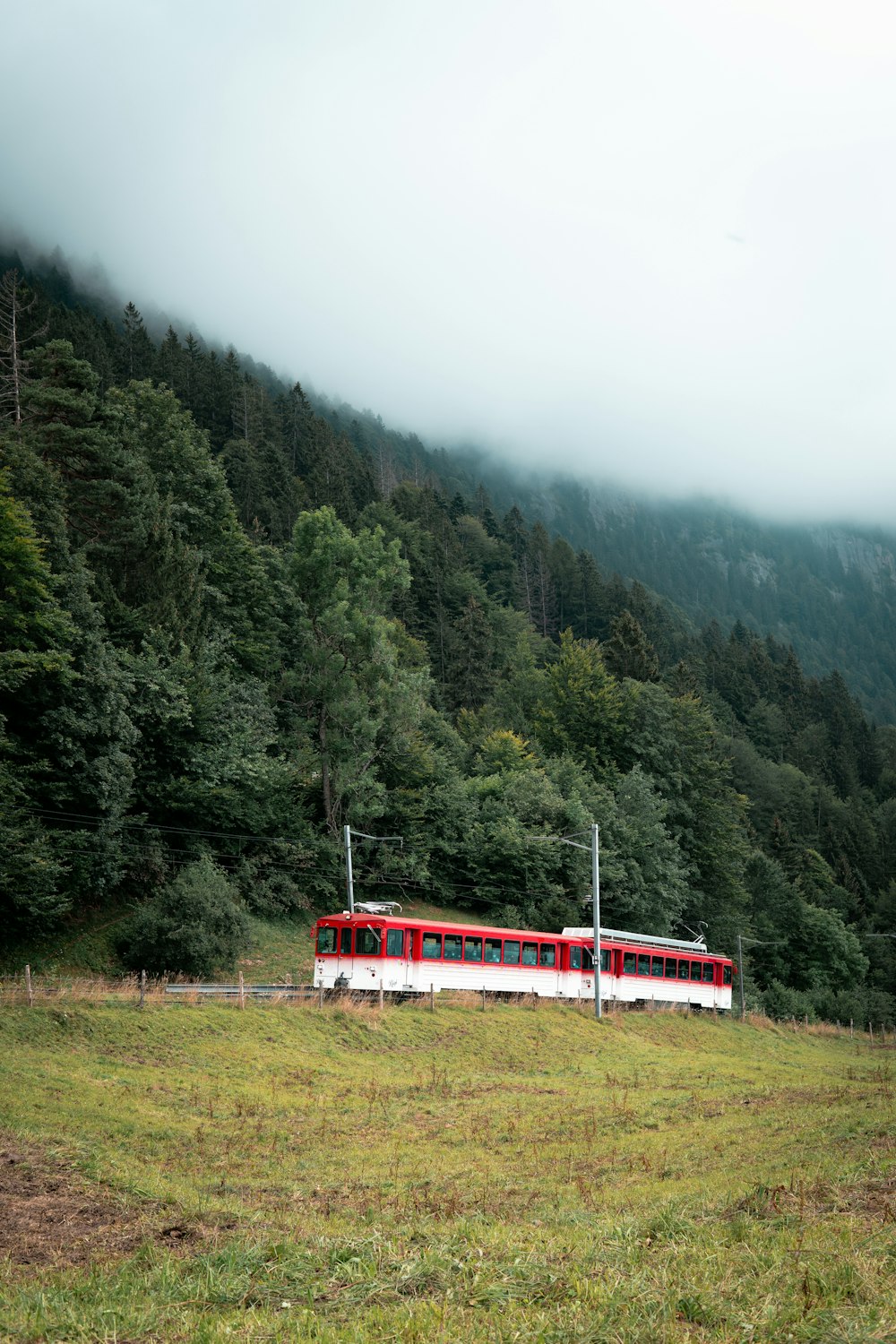 Train rouge et blanc sur la voie ferrée près des arbres verts et de la montagne pendant la journée