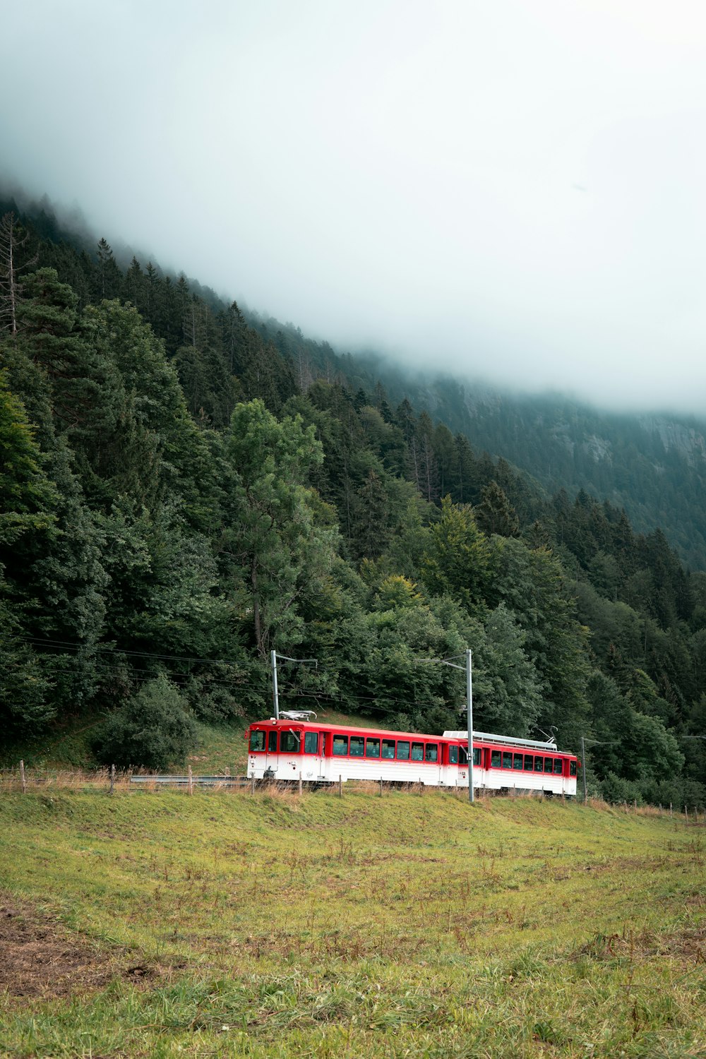 Tren rojo y blanco en la vía férrea cerca de árboles verdes y montaña durante el día