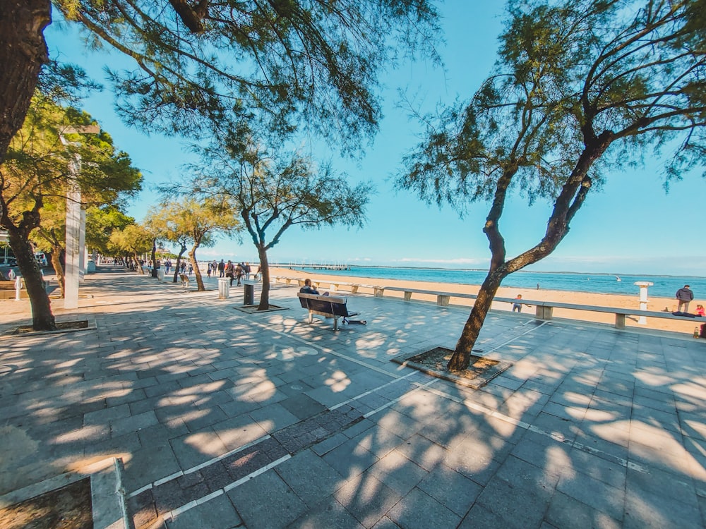 people walking on sidewalk near beach during daytime