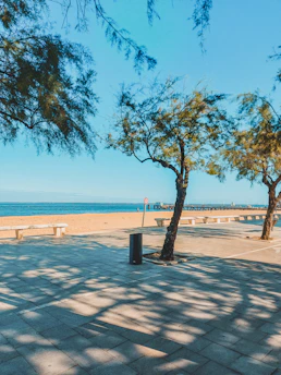 green tree near body of water during daytime