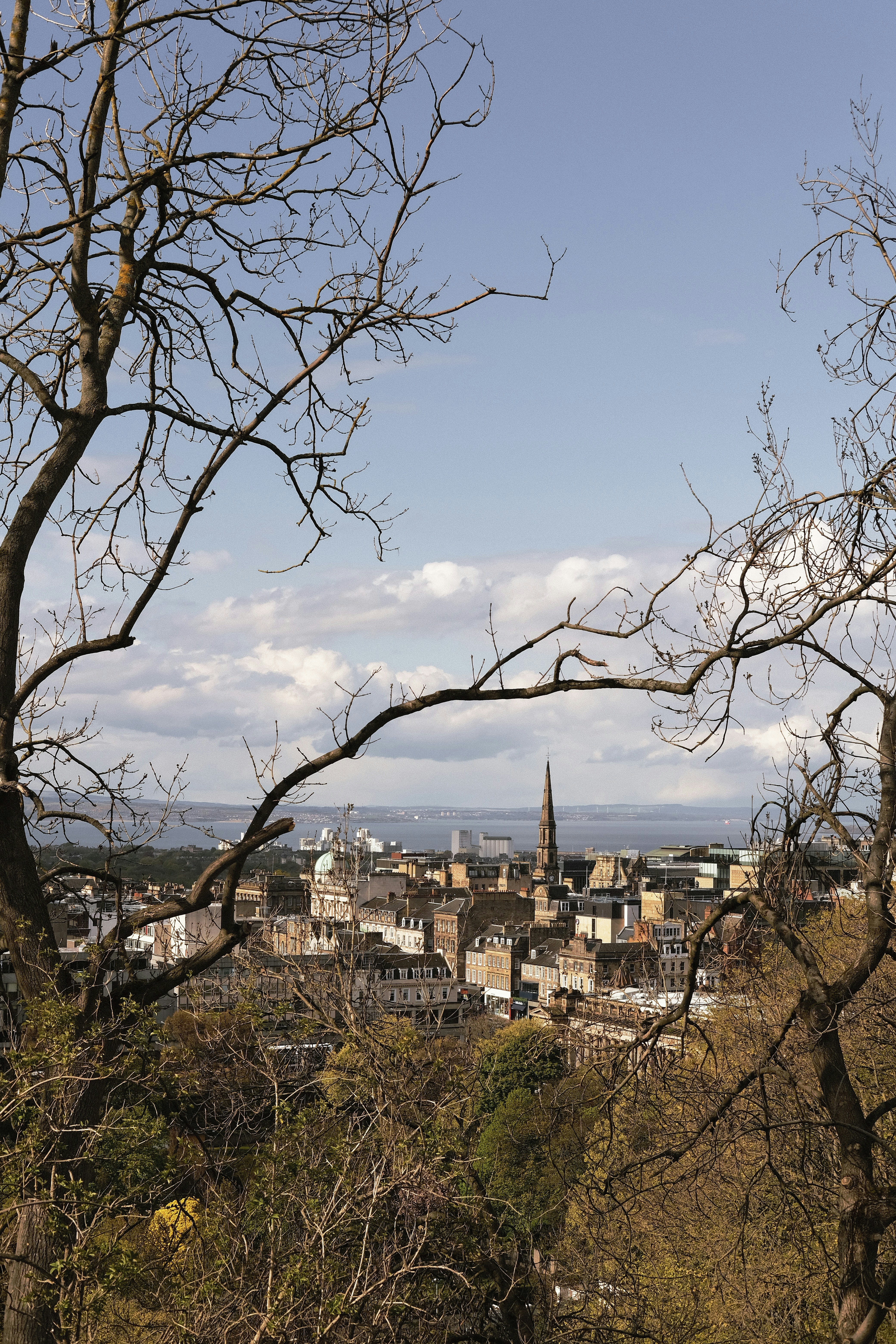 city with high rise buildings under blue sky during daytime