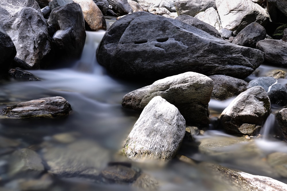 gray and black rocks on river