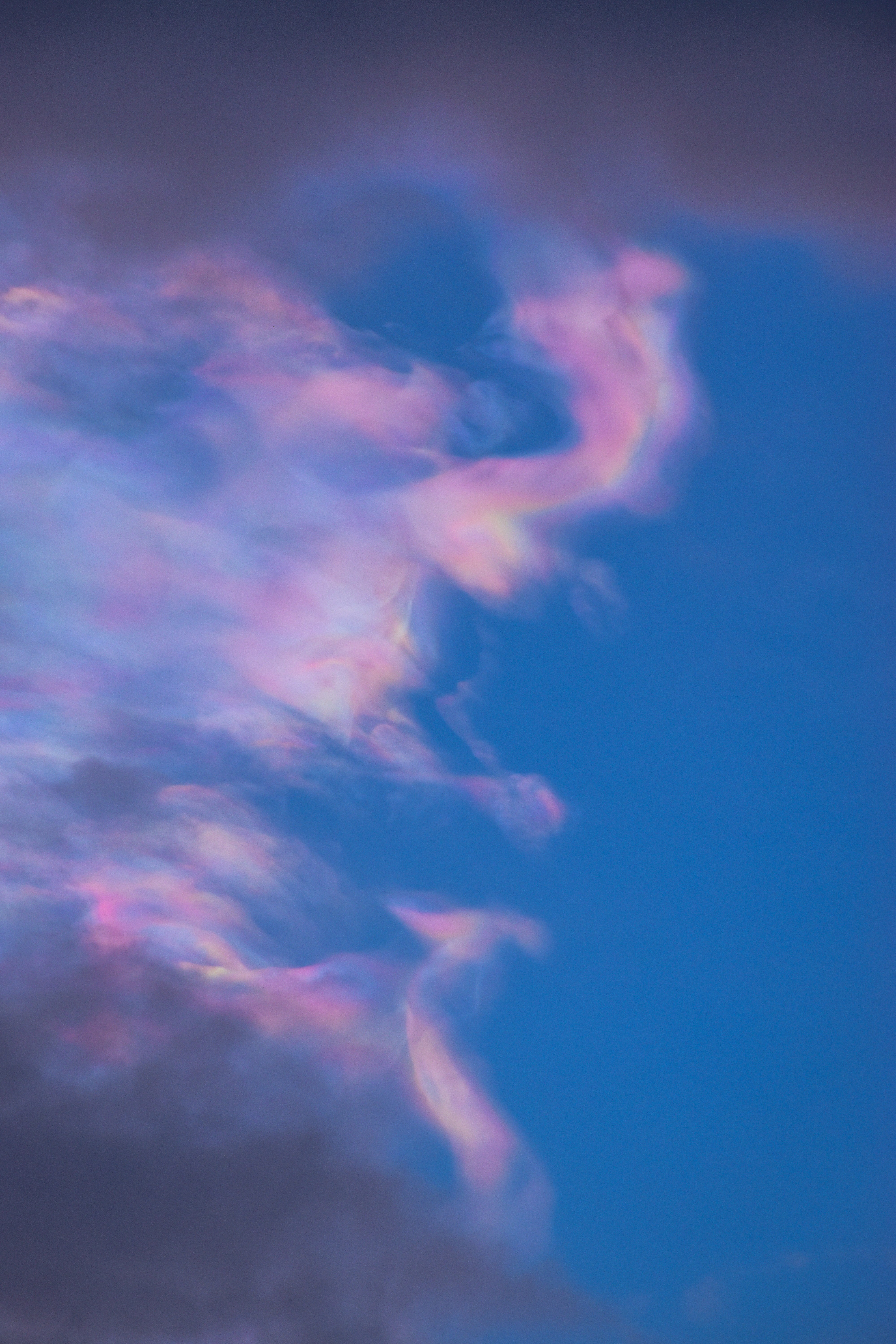 Photo by navi_photography