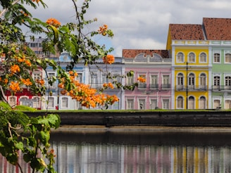 A row of colorful colonial-style buildings is reflected on a tranquil river. The buildings feature intricate architectural details and are painted in bright colors, including red, blue, pink, yellow, and green. In the foreground, orange flowers and green leaves add a natural element, contrasting with the urban scene.