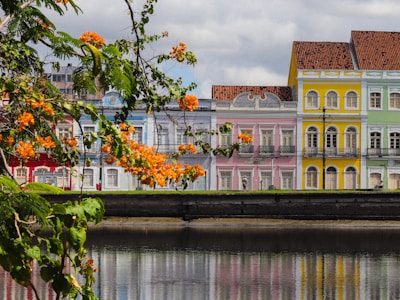 A row of colorful colonial-style buildings is reflected on a tranquil river. The buildings feature intricate architectural details and are painted in bright colors, including red, blue, pink, yellow, and green. In the foreground, orange flowers and green leaves add a natural element, contrasting with the urban scene.