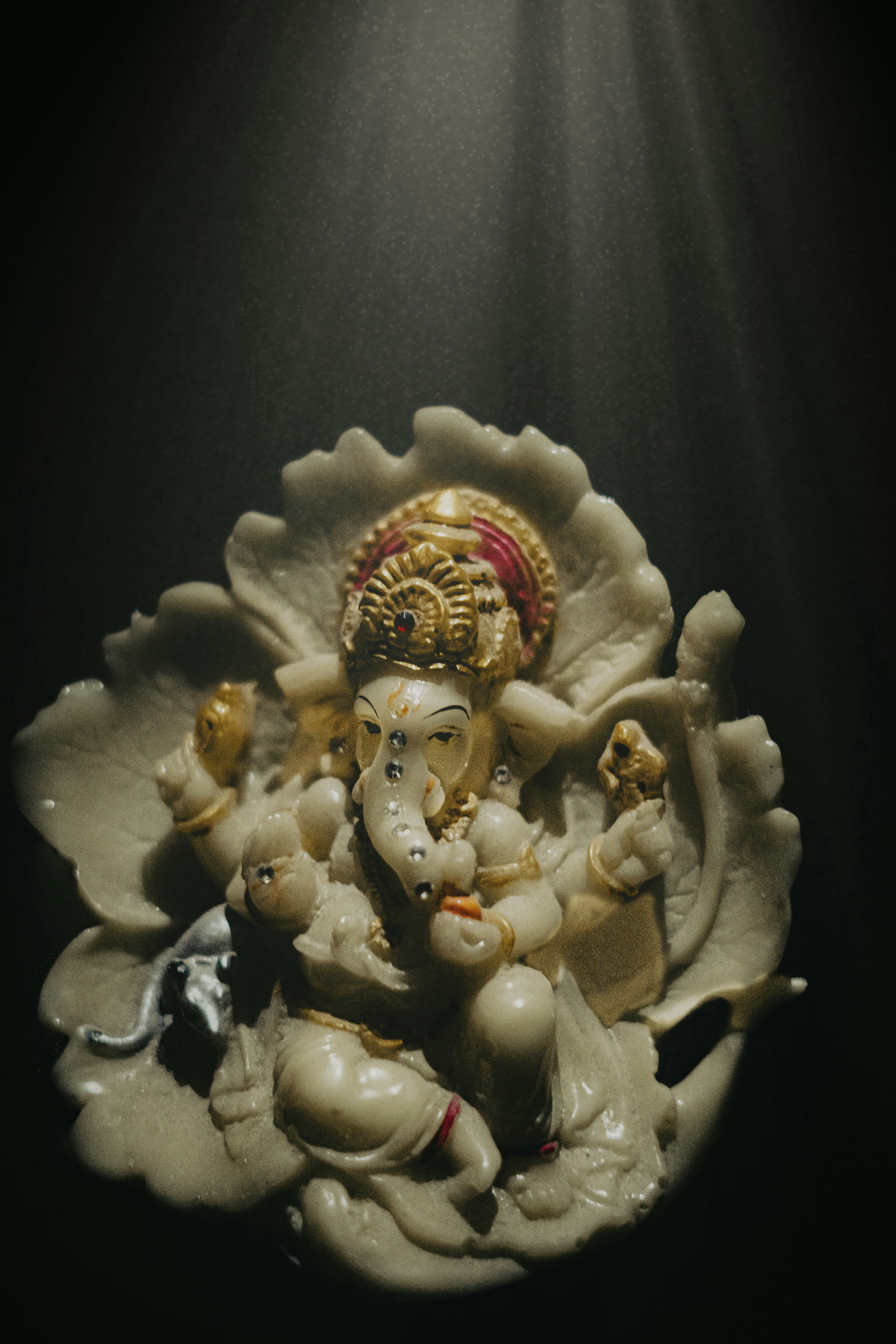 Photo by chethan_kanakamurthy