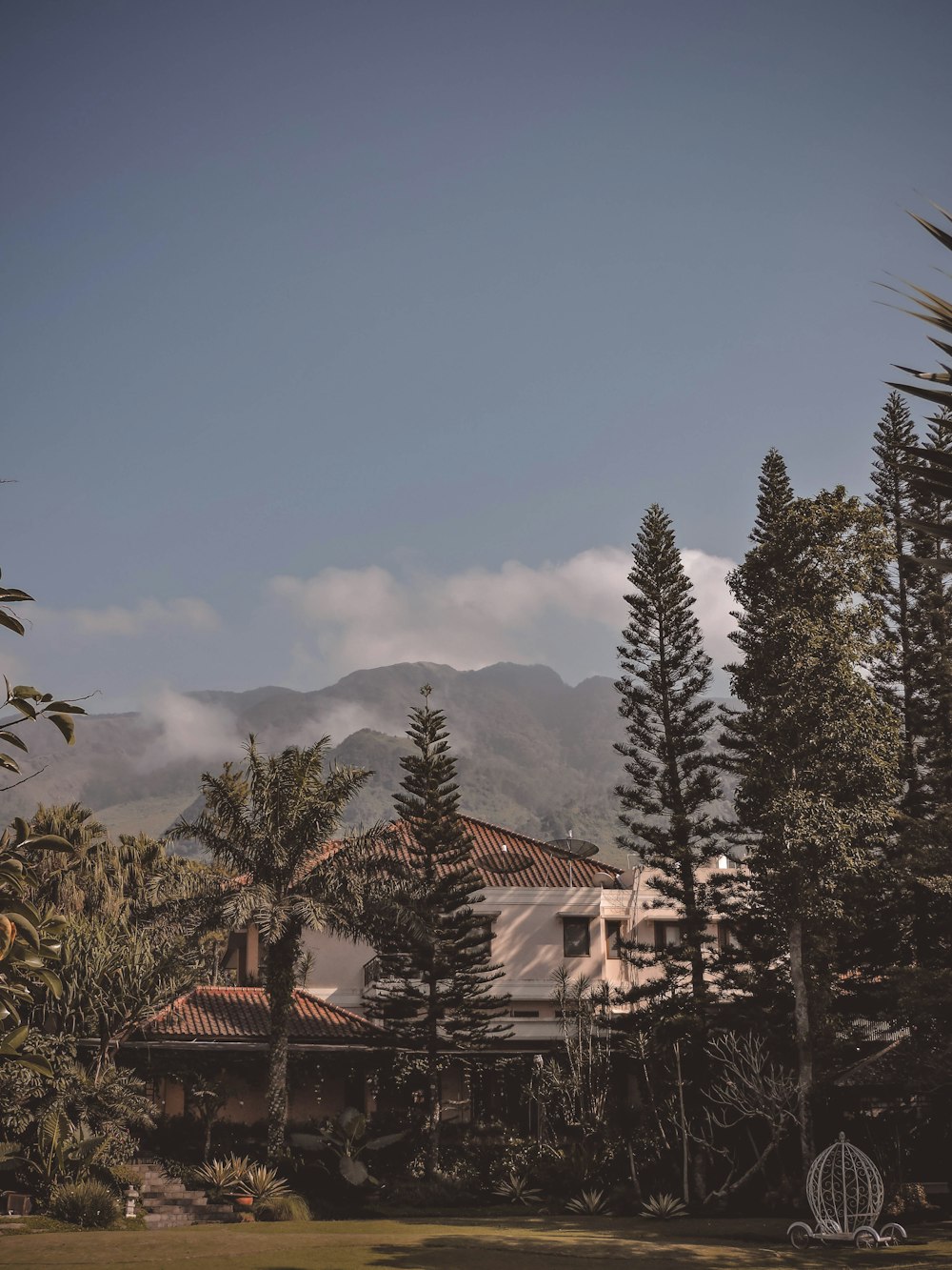 green pine trees near white and brown house during daytime