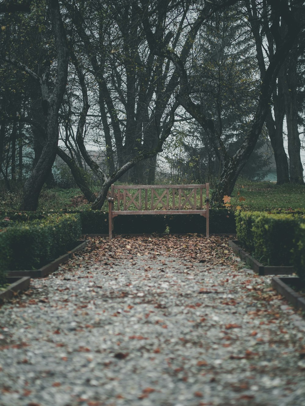 brown wooden bench near trees during daytime