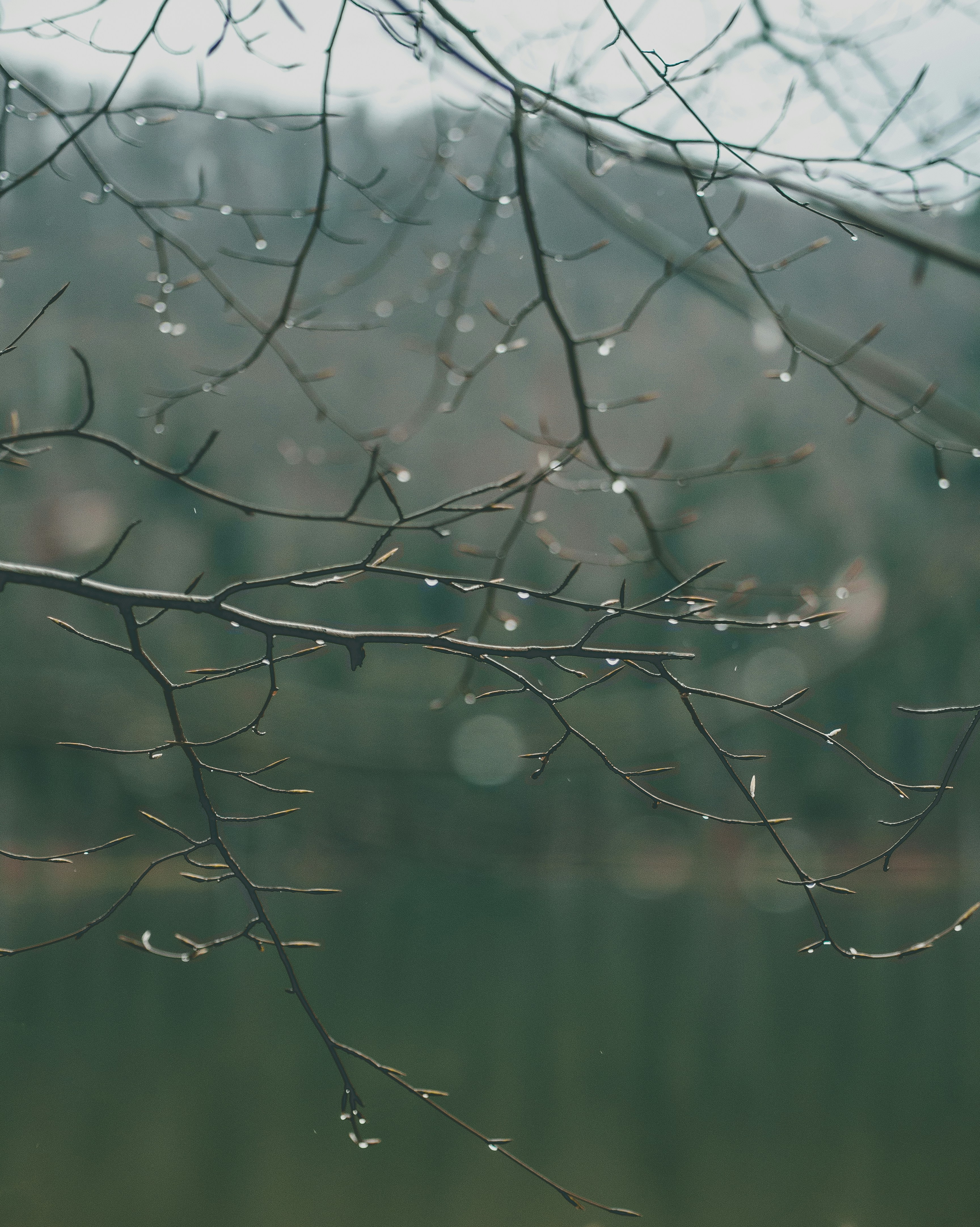 Photo by marta_alexandra