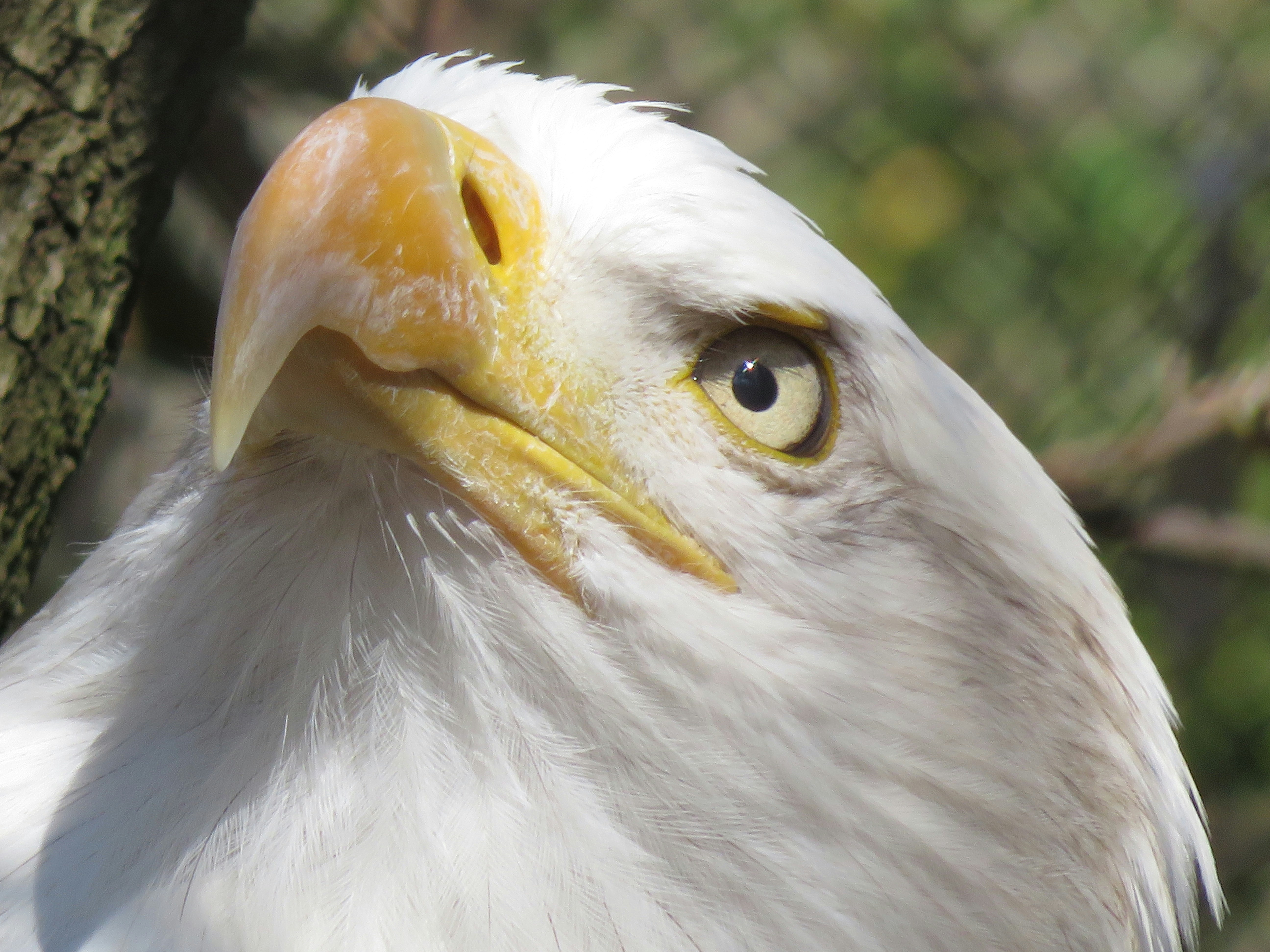 Photo by marcie_kennedy