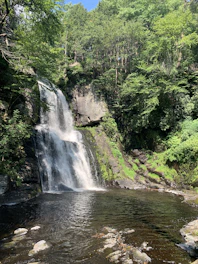 waterfalls in the middle of the forest