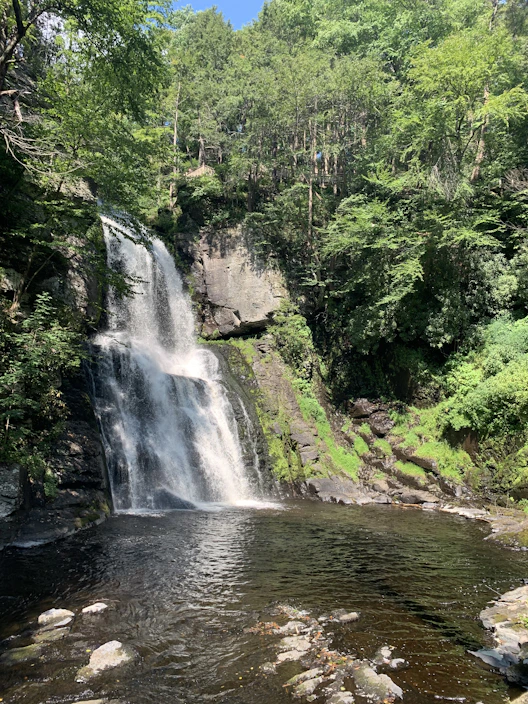 waterfalls in the middle of the forest