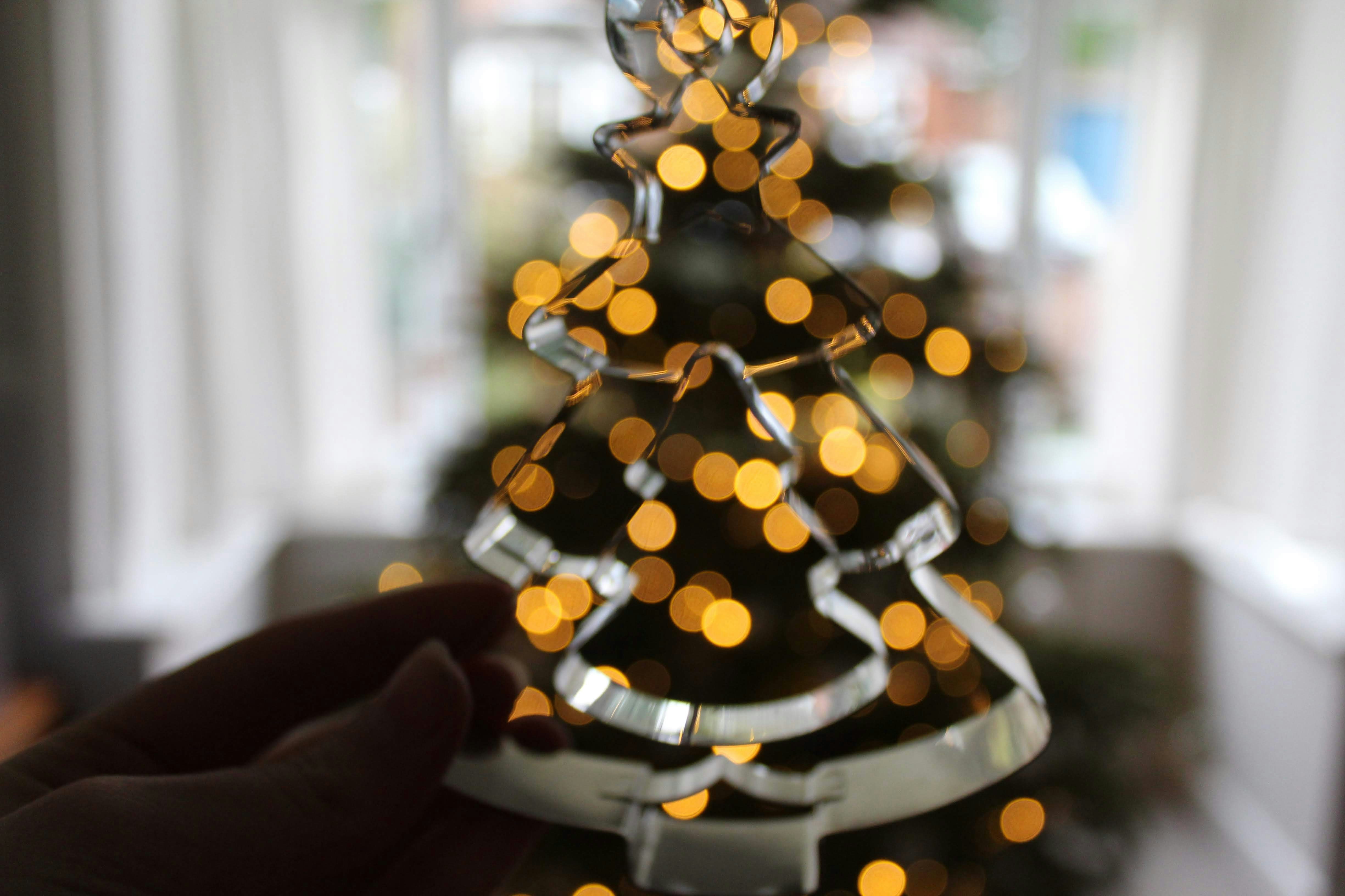 Photo by s_monaghan230