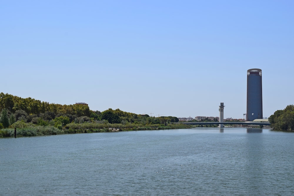 green trees near body of water during daytime