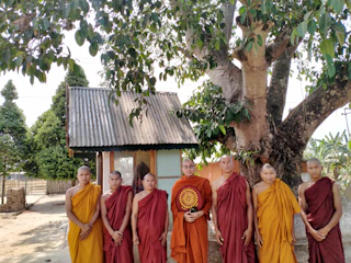 A group of disciples gathered outdoors for training under a large tree.