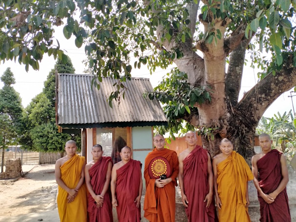 A group of monks wearing orange and red robes are standing under a large tree with dense foliage. Behind them is a small structure with a corrugated metal roof and wooden walls, surrounded by a natural, earthy environment with additional trees and a fenced area.