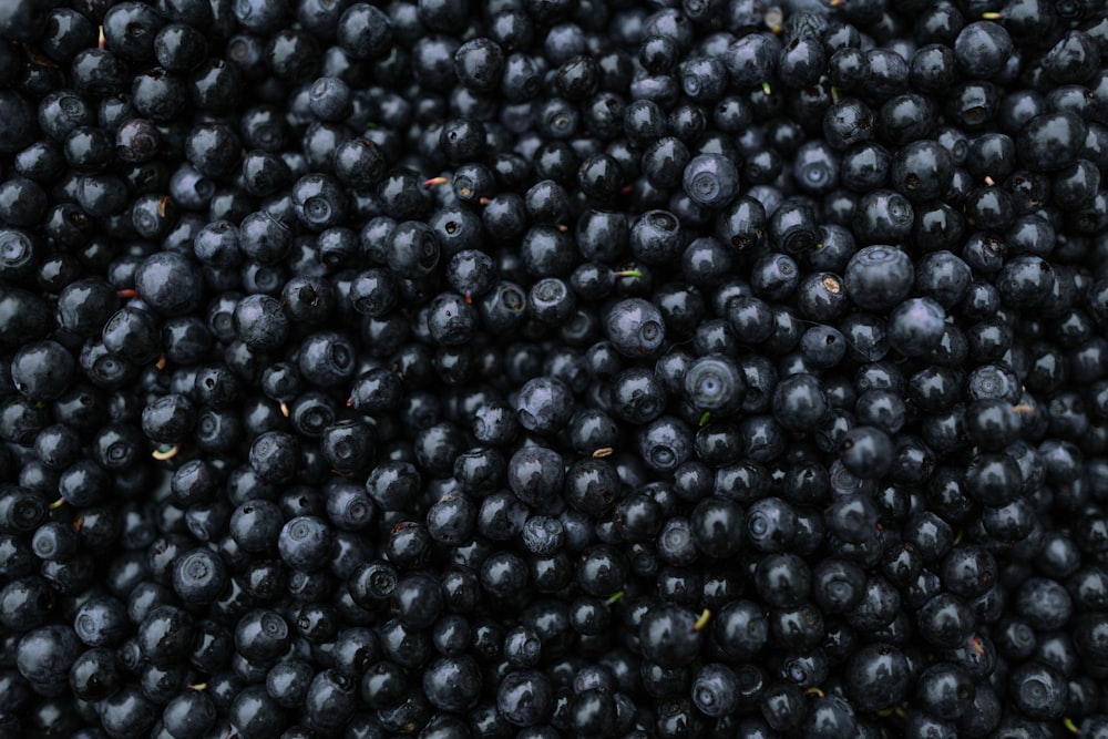 Frutti rotondi neri su sfondo bianco