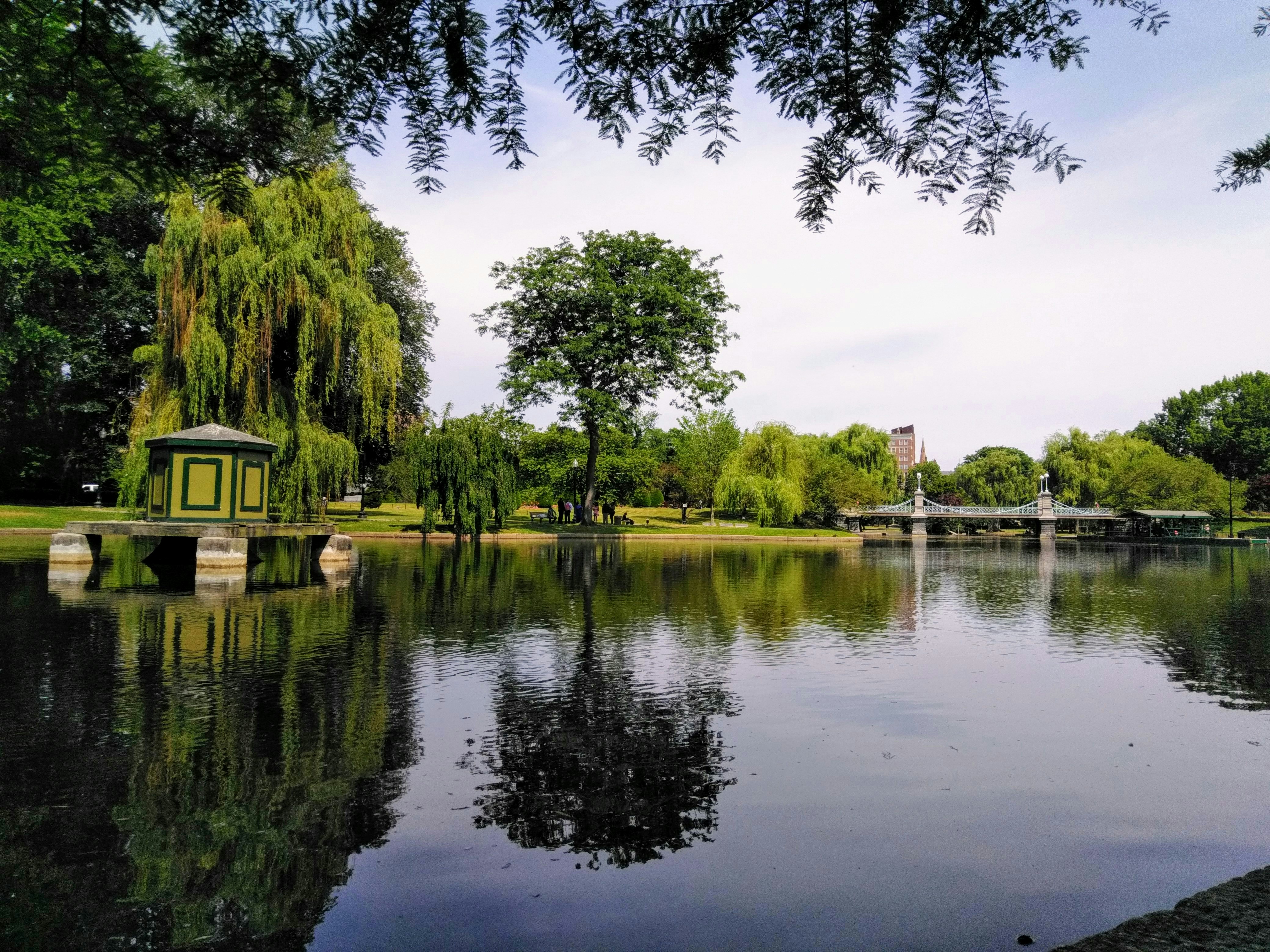 The Public Garden was the first public botanical garden in America.