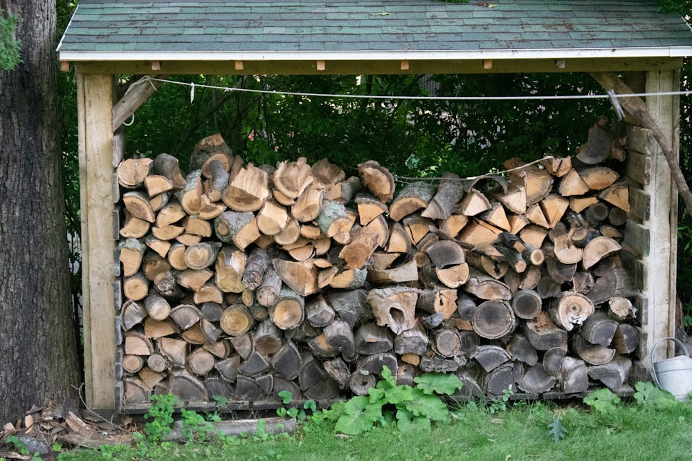 brown wood logs on green grass field