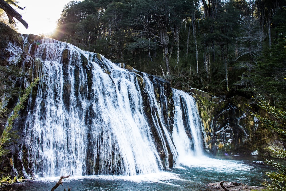 waterfalls in forest during daytime