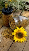 yellow sunflower beside clear glass jar