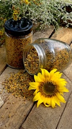 yellow sunflower beside clear glass jar