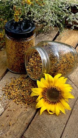 yellow sunflower beside clear glass jar