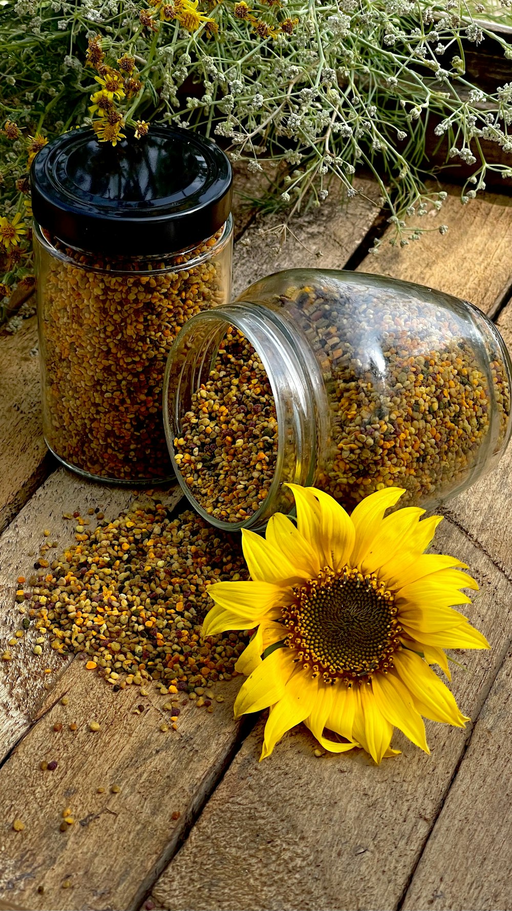 yellow sunflower beside clear glass jar