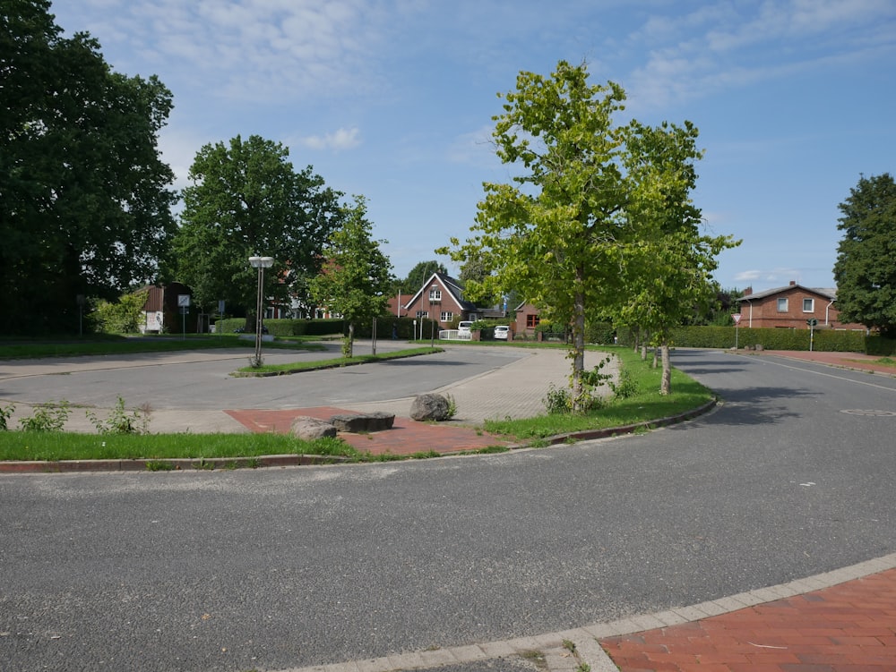 green tree near gray concrete road during daytime