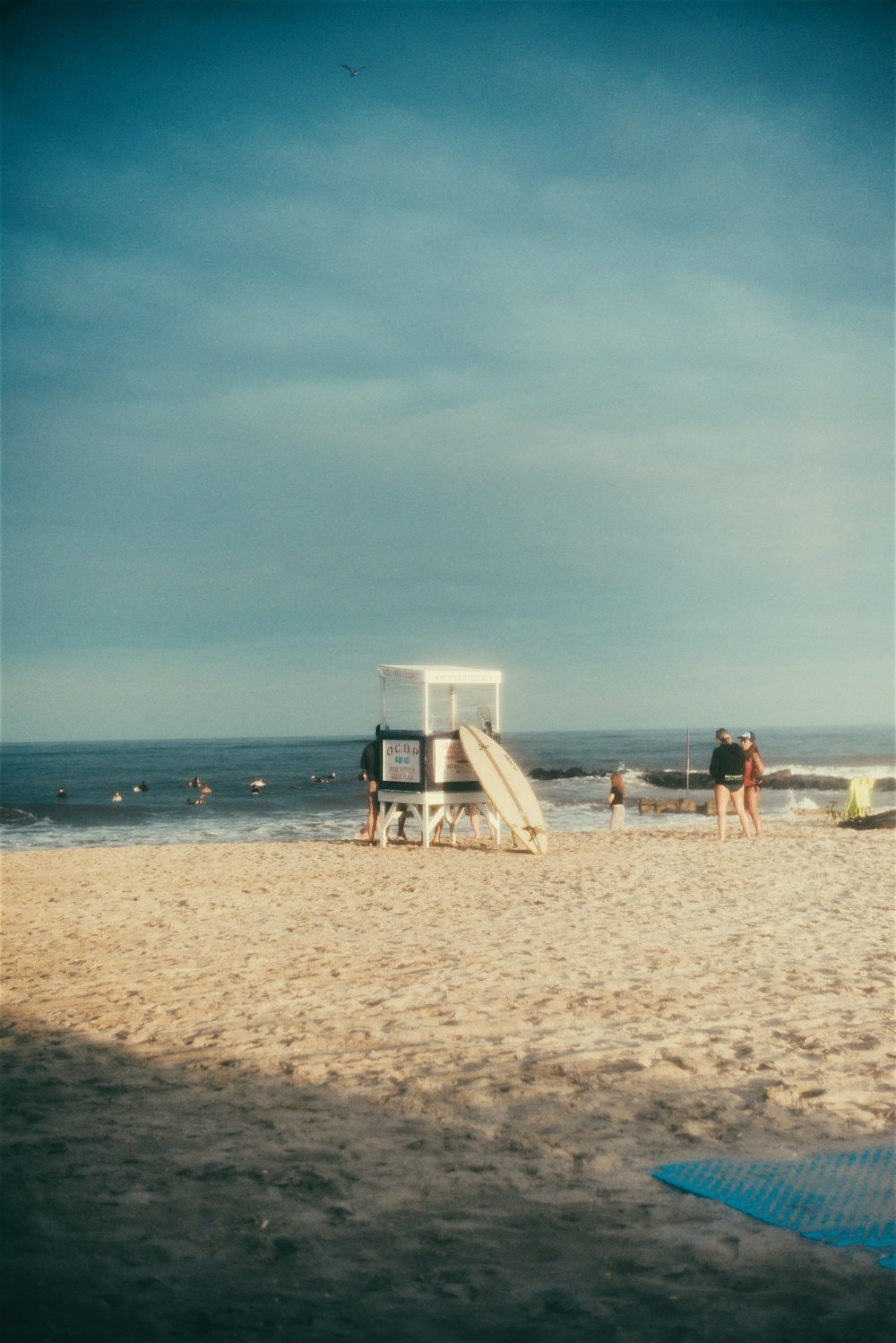 people on beach during daytime