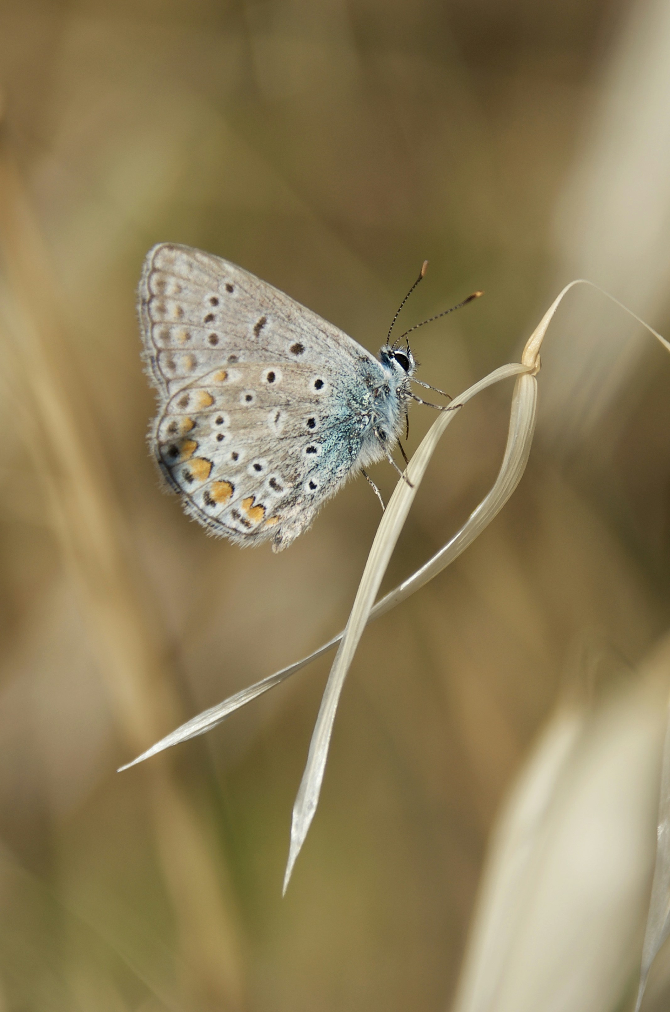 Photo by mariobeducci