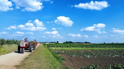A tractor pulls a trailer down a dirt path running through expansive farmland. The fields are lush with crops, and rows of plants stretch into the distance. Fluffy white clouds dot the bright blue sky, creating a peaceful rural scene.