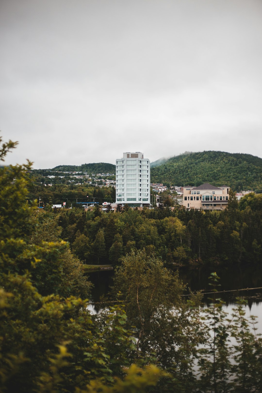 green trees near white concrete building during daytime