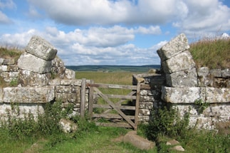 A welcoming rustic farm gate surrounded by lush green hemp plants under a clear blue sky.