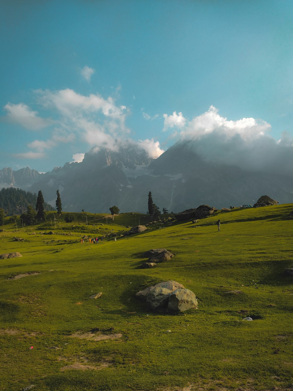 campo de hierba verde y árboles bajo el cielo azul durante el día