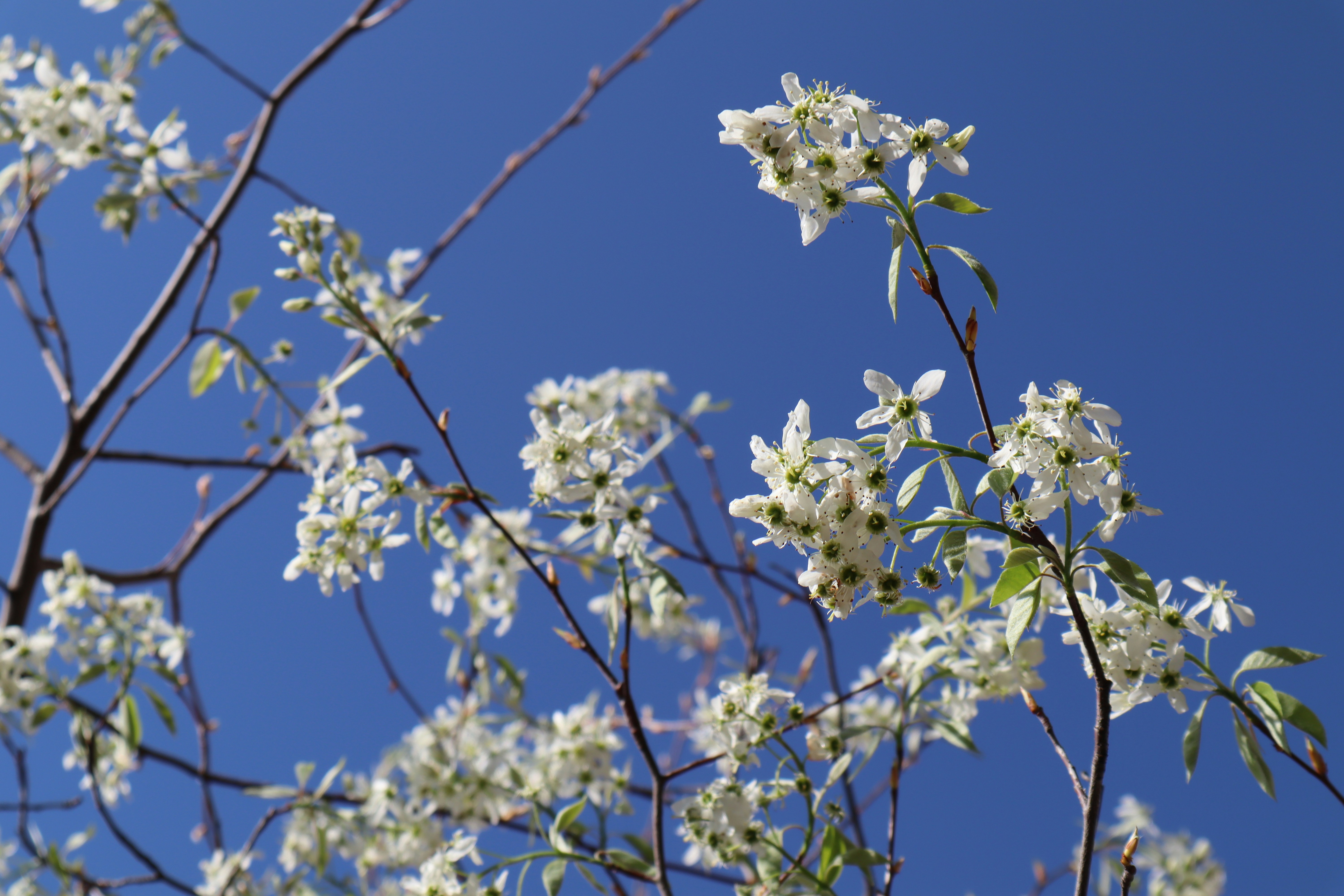 Photo by channel82_fvinc