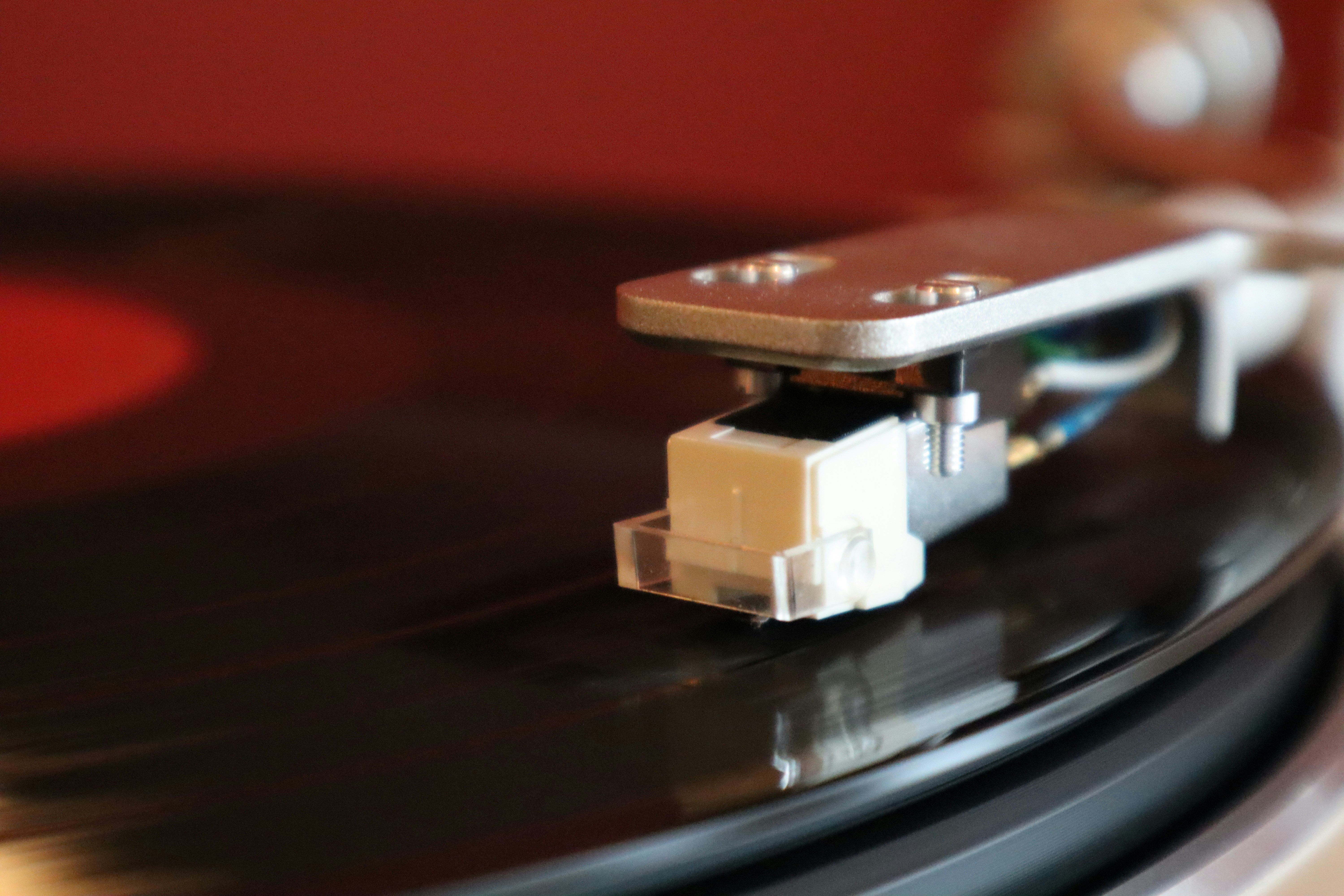 Photo by channel82_fvinc