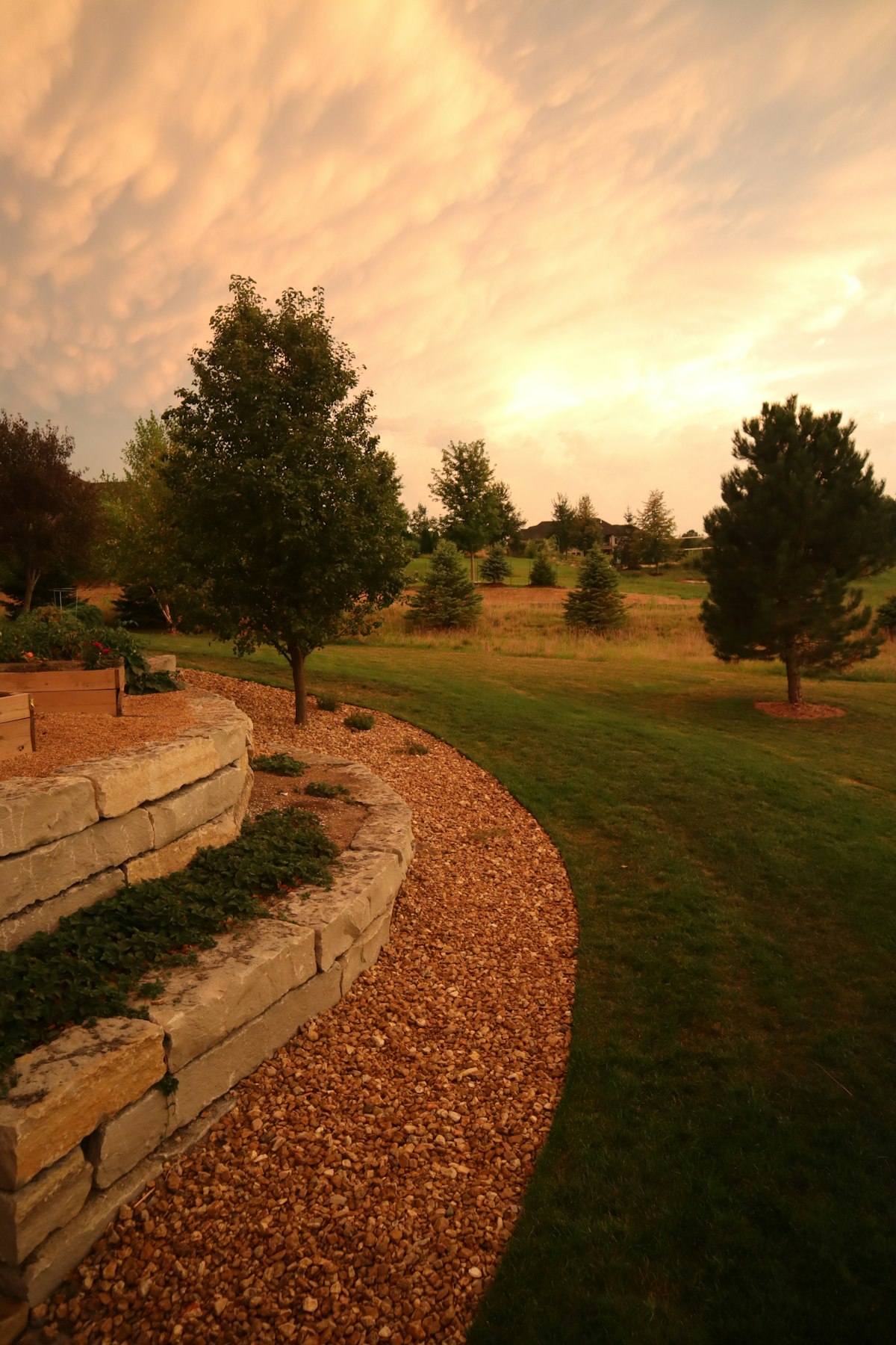 Lawn repair restoring healthy green grass