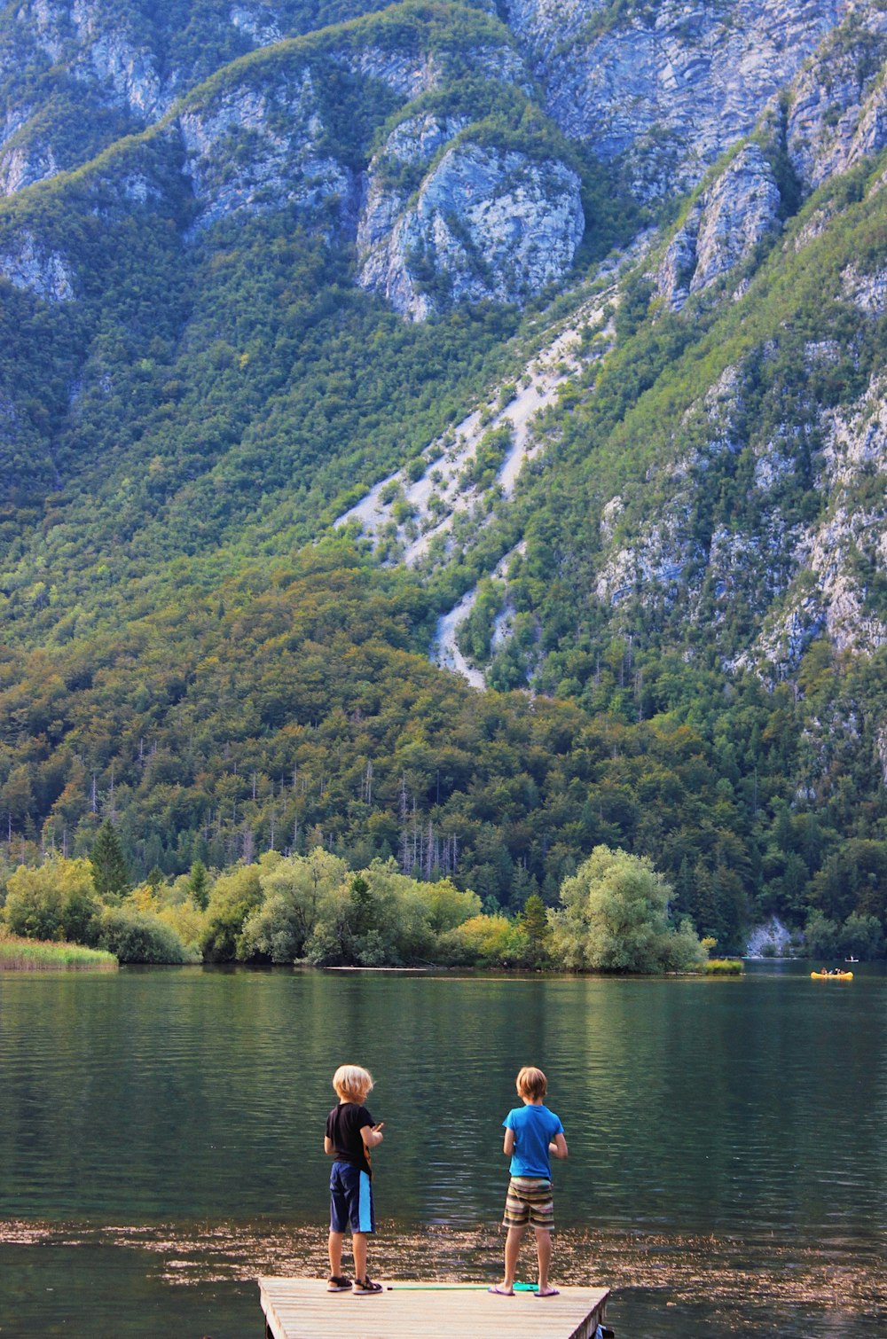 green trees beside lake during daytime