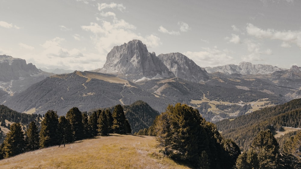 alberi verdi vicino alla montagna sotto nuvole bianche durante il giorno