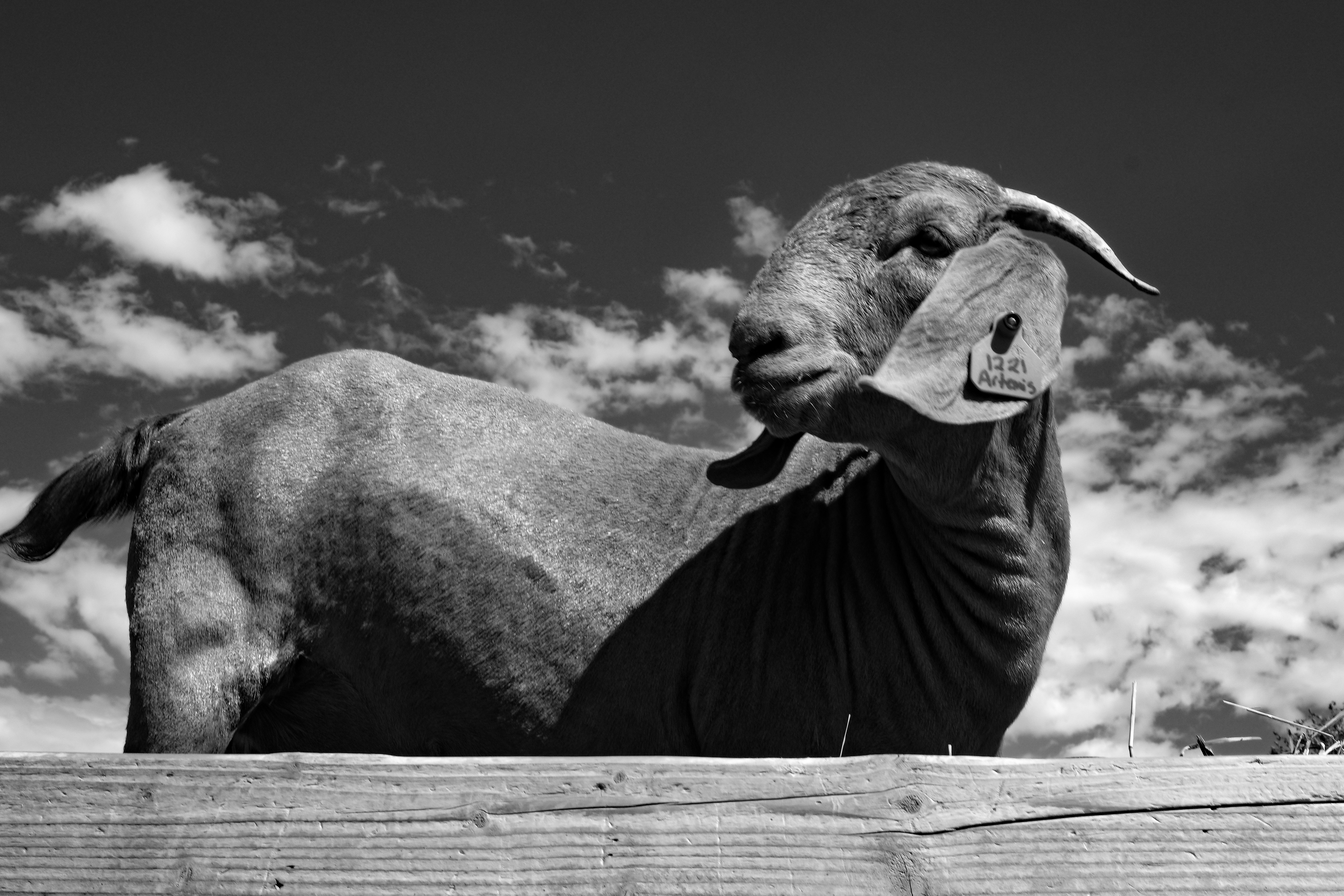Photo by version2beta